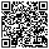 QR Code Handyversion