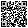 QR Code Handyversion