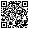 QR Code Handyversion