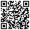 QR Code Handyversion