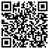 QR Code Handyversion