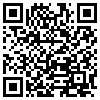 QR Code Handyversion