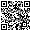 QR Code Handyversion