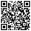 QR Code Handyversion