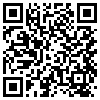 QR Code Handyversion