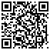 QR Code Handyversion