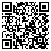 QR Code Handyversion