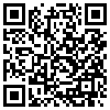 QR Code Handyversion