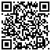 QR Code Handyversion