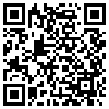 QR Code Handyversion