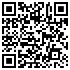 QR Code Handyversion