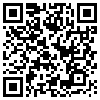 QR Code Handyversion