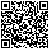 QR Code Handyversion