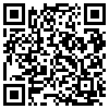 QR Code Handyversion