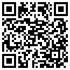 QR Code Handyversion