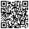 QR Code Handyversion