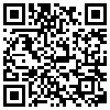 QR Code Handyversion