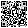 QR Code Handyversion