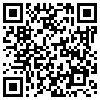 QR Code Handyversion