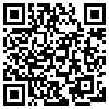 QR Code Handyversion