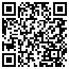 QR Code Handyversion