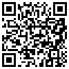 QR Code Handyversion