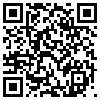 QR Code Handyversion