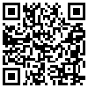 QR Code Handyversion