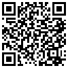 QR Code Handyversion