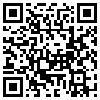 QR Code Handyversion