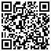 QR Code Handyversion