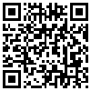 QR Code Handyversion