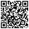 QR Code Handyversion