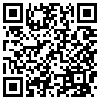 QR Code Handyversion