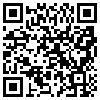 QR Code Handyversion