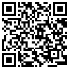 QR Code Handyversion