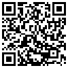 QR Code Handyversion