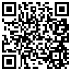 QR Code Handyversion