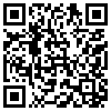 QR Code Handyversion