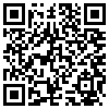 QR Code Handyversion