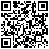 QR Code Handyversion