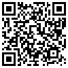 QR Code Handyversion