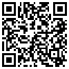 QR Code Handyversion