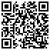 QR Code Handyversion