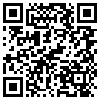 QR Code Handyversion