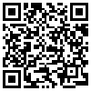 QR Code Handyversion