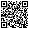 QR Code Handyversion