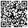 QR Code Handyversion