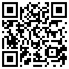 QR Code Handyversion