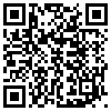 QR Code Handyversion